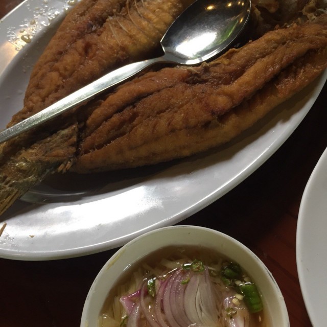 ปลากระพงแดดเดียว