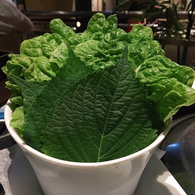 外中生サポロ