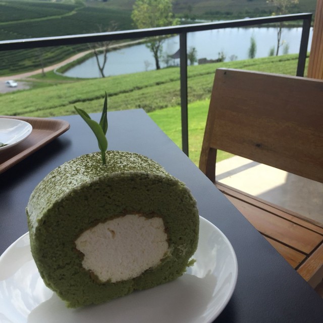 Green tea roll 