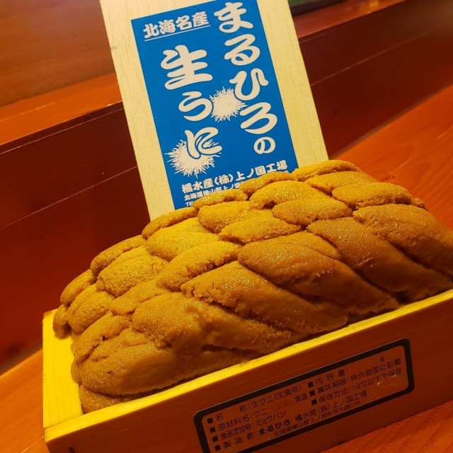 北海道白海胆
